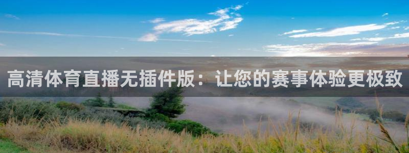 飞速直播直播：高清体育直播无插件版：让您的赛事体验更极致