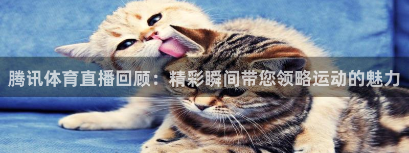 飞速体育在线直播nba：腾讯体育直播回顾：精彩瞬间带您领略运动的魅力