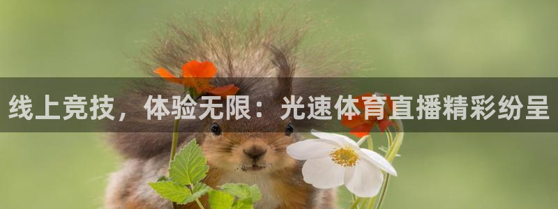 飞速直播nba直播吧：线上竞技，体验无限：光速体育直播精彩纷呈