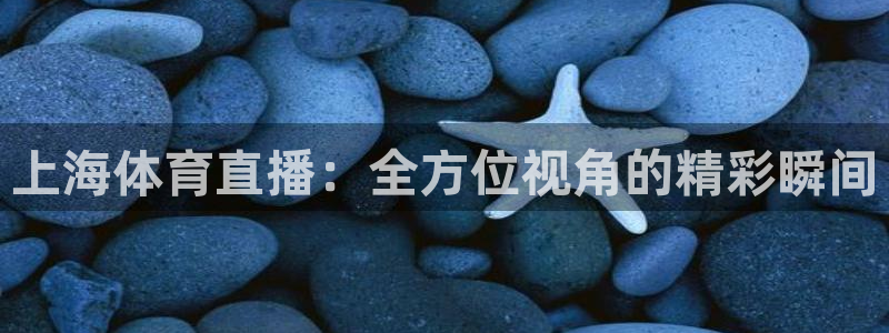 飞速体育nba无插件直播：上海体育直播：全方位视角的精彩瞬间