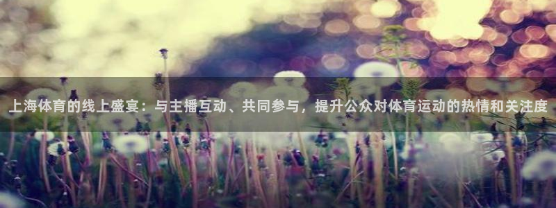 足球直播飞速：上海体育的线上盛宴：与主播互动、共同参与，提升公众对体育运动的热情和关注度