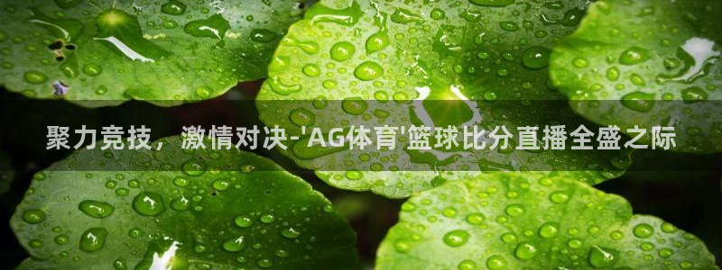飞速体育直播全面更新升级.网站玩.org：聚力竞技，激情对决-\'AG体育\'篮球比分直播全盛之际