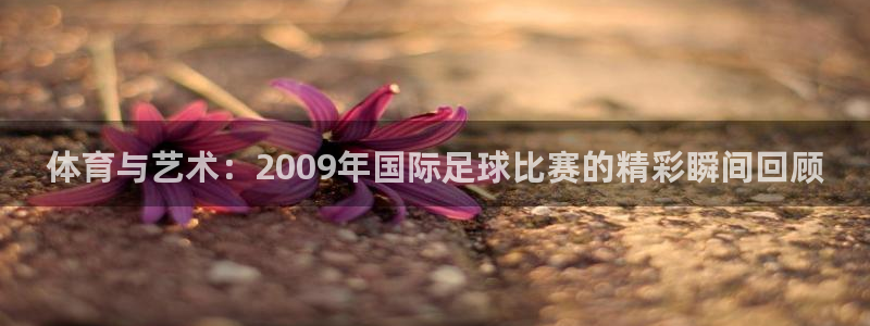 nba飞速直播在线直播：体育与艺术：2009年国际足球比赛的精彩瞬间回顾