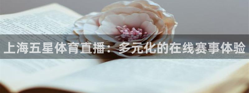 飞速体育nba直播在线：上海五星体育直播：多元化的在线赛事体验
