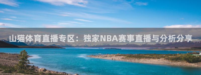 飞速体育直播nba免费观看：山猫体育直播专区：独家NBA赛事直播与分析分享