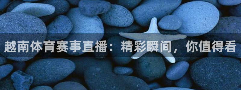 飞速体育直播nba直播：越南体育赛事直播：精彩瞬间，你值得看