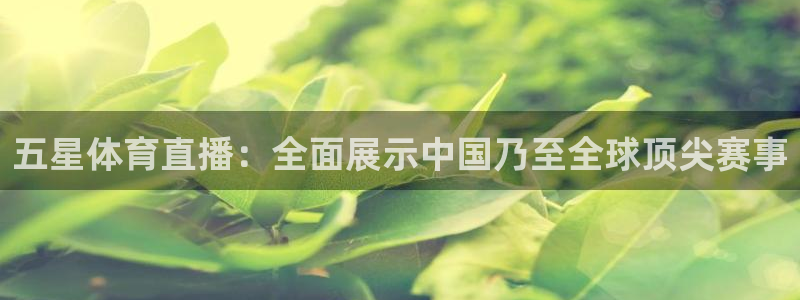 飞速直播体育在线直播：五星体育直播：全面展示中国乃至全球顶尖赛事