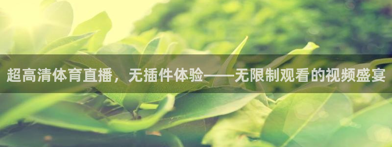 飞速足球直播：超高清体育直播，无插件体验——无限制观看的视频盛宴
