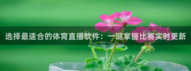 极速体育飞速直播：选择最适合的体育直播软件：一键掌握比赛实时更新