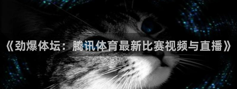 飞速直播体育nba无插件：《劲爆体坛：腾讯体育最新比赛视频与直播》