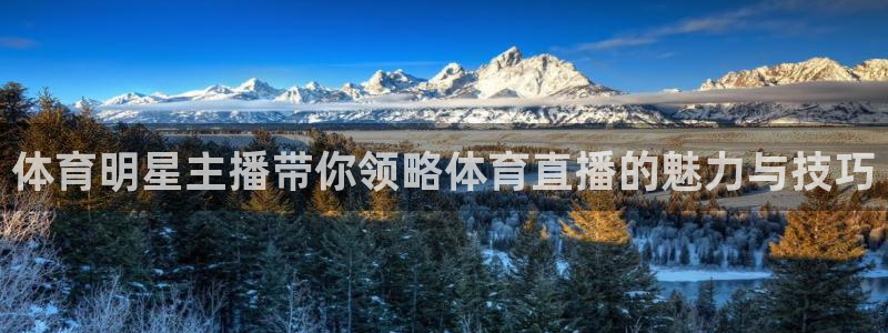 飞速体育：体育明星主播带你领略体育直播的魅力与技巧