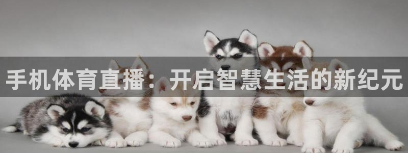 jrs飞速直播：手机体育直播：开启智慧生活的新纪元